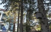 Туры в отель Kapri KHaus-Madrid Park-2 Apartaments Туры в отель Kapri KHaus-Madrid Park-2 Apartaments