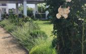 Туры в отель Grand Camellia Guest House Туры в отель Grand Camellia Guest House