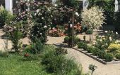 Туры в отель Grand Camellia Guest House Туры в отель Grand Camellia Guest House