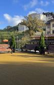 Туры в отель Apartments Alfa Metelev Туры в отель Apartments Alfa Metelev