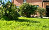 Туры в отель Sibirsky Guest House Туры в отель Sibirsky Guest House