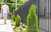 Туры в отель Domus More Guest House Туры в отель Domus More Guest House