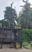 Туры в отель Slon Mini Hotel Туры в отель Slon Mini Hotel