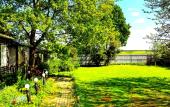 Туры в отель Dom v Kavgolovo Guest House Туры в отель Dom v Kavgolovo Guest House