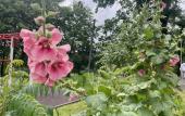 Туры в отель Na Tolstikova Flat Туры в отель Na Tolstikova Flat