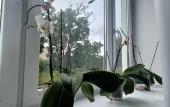 Туры в отель Na Tolstikova Flat Туры в отель Na Tolstikova Flat