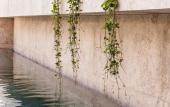 Туры в отель M Boutique Hotel - Designed for Adults Туры в отель M Boutique Hotel - Designed for Adults