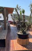 Туры в отель Aurora Sigacik Hotel Туры в отель Aurora Sigacik Hotel