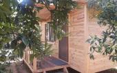 Туры в отель Halil Bungalow Villa Туры в отель Halil Bungalow Villa