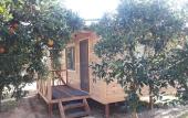 Туры в отель Halil Bungalow Villa Туры в отель Halil Bungalow Villa