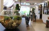 Туры в отель Seashell Туры в отель Seashell