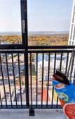 Туры в отель Sutki Ufa na Rikharda Zorge 67/2 362 Apartments Туры в отель Sutki Ufa na Rikharda Zorge 67/2 362 Apartments