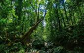 Туры в отель Wijaya Holiday Resort Туры в отель Wijaya Holiday Resort