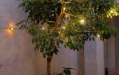Туры в отель De La Charis Hotel by Waringin Hospitality Туры в отель De La Charis Hotel by Waringin Hospitality