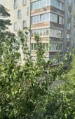 Туры в отель Savina Na Sovetskom Apartments Туры в отель Savina Na Sovetskom Apartments