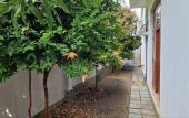 Туры в отель Villa Four Seasons Galle Туры в отель Villa Four Seasons Galle