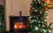 Туры в отель Eden Nest Exclusive Apart Hotel Туры в отель Eden Nest Exclusive Apart Hotel