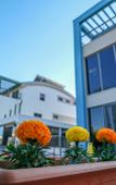 Туры в отель Eden Nest Exclusive Apart Hotel Туры в отель Eden Nest Exclusive Apart Hotel