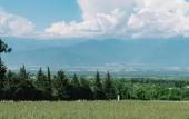 Туры в отель Vazisubani Estate Туры в отель Vazisubani Estate