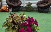 Туры в отель Emigrant Guest House Туры в отель Emigrant Guest House