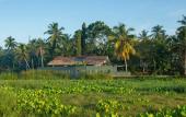 Туры в отель Romantic Honeymoon Villa Overlooking Rice Fields Туры в отель Romantic Honeymoon Villa Overlooking Rice Fields