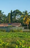 Туры в отель Romantic Honeymoon Villa Overlooking Rice Fields Туры в отель Romantic Honeymoon Villa Overlooking Rice Fields