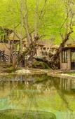 Туры в отель Quba Vadi Chalet Hotel Туры в отель Quba Vadi Chalet Hotel