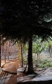 Туры в отель Ankyun Guest House Туры в отель Ankyun Guest House