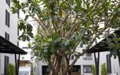Туры в отель Almas Hotel Bangkok Туры в отель Almas Hotel Bangkok