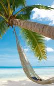 Туры в отель Myrtle Boutique Hotel Туры в отель Myrtle Boutique Hotel