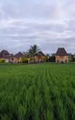 Туры в отель Uma Sebatu Villas Ubud Туры в отель Uma Sebatu Villas Ubud