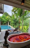 Туры в отель Pinggala Villa Ubud Туры в отель Pinggala Villa Ubud