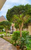 Туры в отель Villa Khufu Pyramids Inn Guest house Туры в отель Villa Khufu Pyramids Inn Guest house