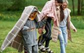 Туры в отель Manor Forest Eden Туры в отель Manor Forest Eden