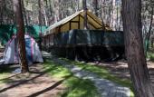 Туры в отель Pod Sosnami Camping Туры в отель Pod Sosnami Camping