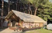 Туры в отель Pod Sosnami Camping Туры в отель Pod Sosnami Camping
