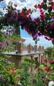 Туры в отель El Platano Guest House Туры в отель El Platano Guest House