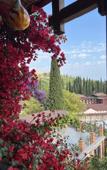 Туры в отель El Platano Guest House Туры в отель El Platano Guest House