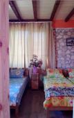 Туры в отель El Platano Guest House Туры в отель El Platano Guest House