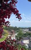 Туры в отель El Platano Guest House Туры в отель El Platano Guest House