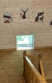 Туры в отель Gostevoy Kompleks Snega Hotel Туры в отель Gostevoy Kompleks Snega Hotel