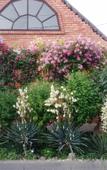 Туры в отель U Nas Kak Doma Guest house Туры в отель U Nas Kak Doma Guest house