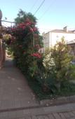 Туры в отель U Nas Kak Doma Guest house Туры в отель U Nas Kak Doma Guest house