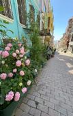 Туры в отель Peker Hotel Туры в отель Peker Hotel