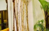 Туры в отель Canela Kabalana Hotel Туры в отель Canela Kabalana Hotel