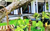 Туры в отель Canela Kabalana Hotel Туры в отель Canela Kabalana Hotel