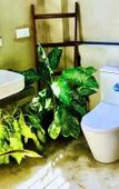 Туры в отель Canela Kabalana Hotel Туры в отель Canela Kabalana Hotel