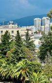 Туры в отель Marisol Family Kvartira dlya semii v turisticheskom tsentre kurorta Туры в отель Marisol Family Kvartira dlya semii v turisticheskom tsentre kurorta
