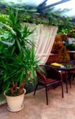 Туры в отель Milana Hotel Туры в отель Milana Hotel