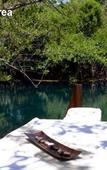 Туры в отель Hacienda Tres Rios Туры в отель Hacienda Tres Rios
